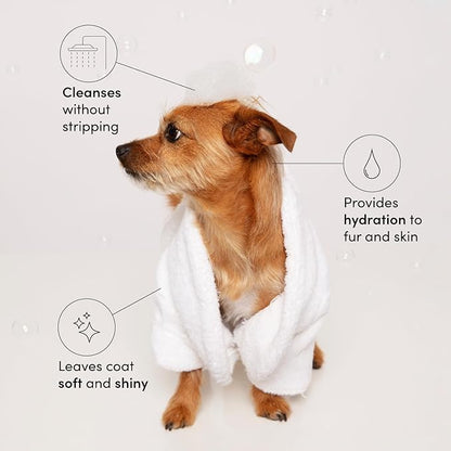 OUAI Fur Bébé Pet Shampoo - Cat & Dog Shampoo for Gentle Cleansing, Hydration & Shine - Vegan & Cruelty-Free Pet Supplies with Aloe Vera & Panthenol - Mercer Street Scent (16 Fl oz)