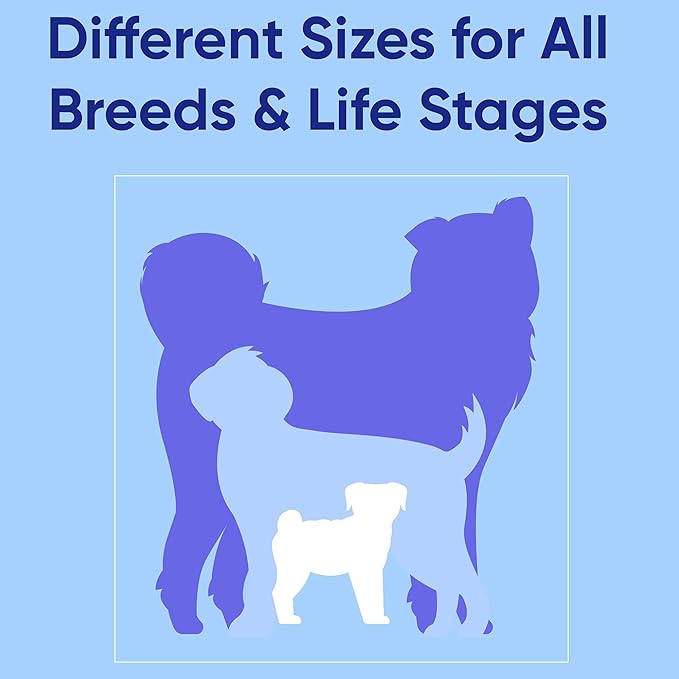 Pawtitas Personalized 6 ft Green Dog Leash XS/S Custom Name and Phone Embroidery Strong Nylon Leash for Small Breeds