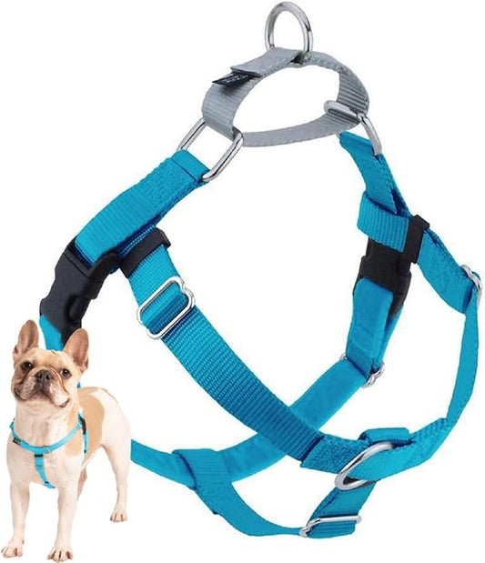 2 Hounds Design Freedom No Pull Dog Harness, Adjustable Harness, Easy Walking & Comfortable Control, Fits Small, Medium & Large Dogs, Solid Colors, Made in USA, 1" LG, Turquoise