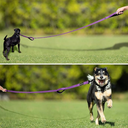 Plutus Pet Dog Leash 6ft Long, Traffic Padded Two Handle, Heavy Duty, Reflective Double Handles Lead for Control Safety Training, Leashes for Large Dogs or Medium Dogs, Dual Handles Leads (Purple)