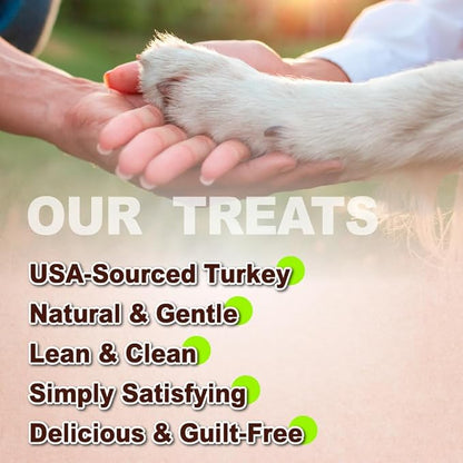 A Freschi srl Turkey Tendons for Dogs, USA-Sourced, Healthy Dog Treats, Rawhide-Free Puppy Chews, All Natural, Hypoallergenic Dog Treats, Soft Strips with Pumpkin, 3.5 oz Pack