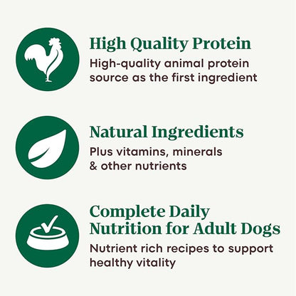 Nutro Natural Choice Cuts in Gravy Wet Dog Food,Grain Free Dog Food Wet Recipes,Beef,Lamb,Chicken,and Turkey Variety Pack,3.5 oz. Trays,36 Count (Pack of 2)