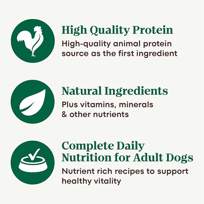 Nutro Natural Choice Cuts in Gravy Wet Dog Food, Grain Free Dog Food Wet Turkey, Chicken, Lamb, Beef Recipes Variety Pack, 3.5 oz. Trays (24 Count, Pack of 1)