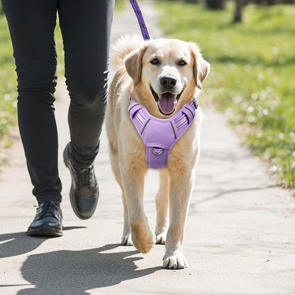 BARKBAY No Pull Dog Harness Large Reflective Dog Harness with Front Clip and Easy Control Handle for Walking Training Running with ID tag Pocket(Violet Purple,XL)