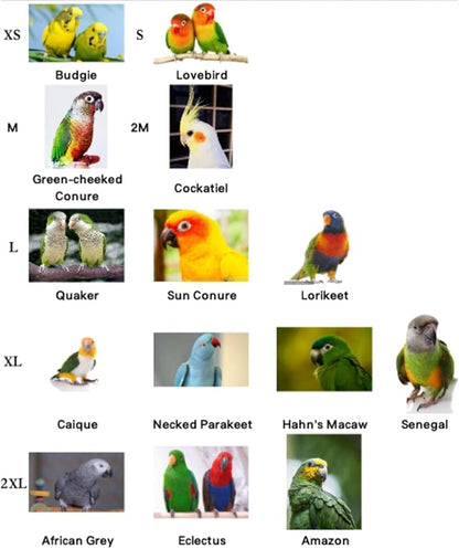 Pet Parrot Anti-bite Elizabethan Collars, Anti-Grab Feather Plucking Wound Healing Safety Recovery Collar Cones for Budgerigar Lovebird Conure Cockatiel Cockatoo Random Color (XS)