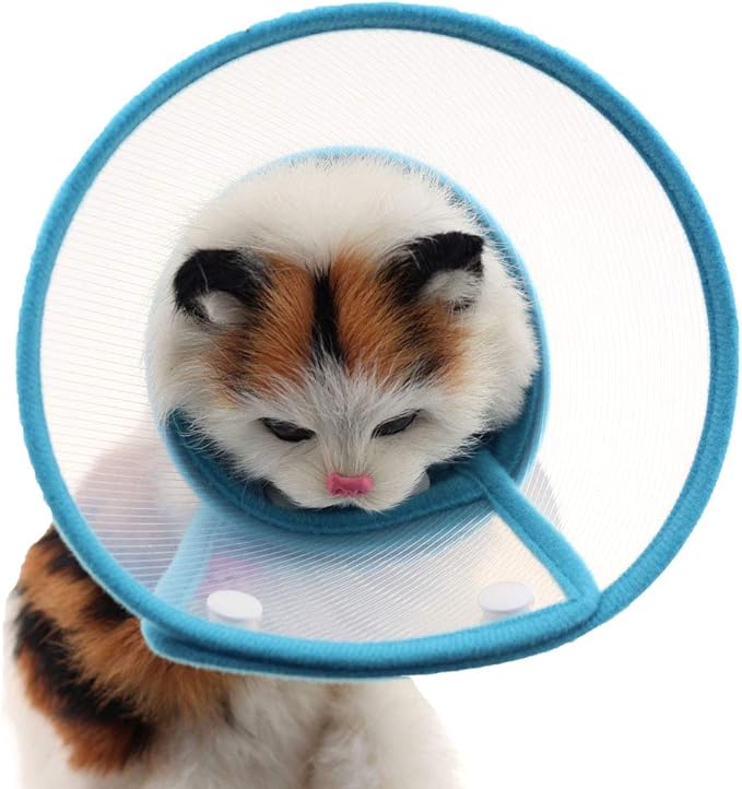 Pet Plastic Clear Cone Recovery E-Collar with Dots Design Soft Edge for Small Dogs & Cats (Small, Blue)