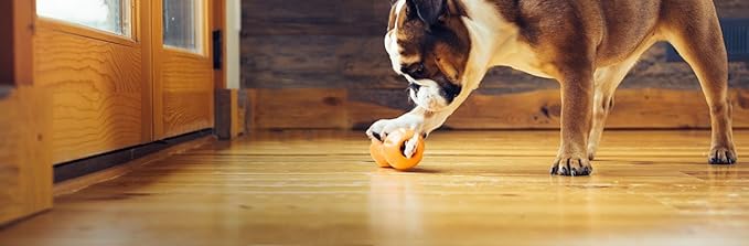 West Paw Qwizl Durable Zogoflex Dog Puzzle Toy for Mental Stimulation, and Enrichment - Treat Dispensing for Bully Sticks and Dental Sticks - Dishwasher Safe - Made in USA - Large - Tangerine