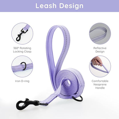 BELLA & PAL Step in Vest Harness for Small and Medium Dogs, No Pull Small Dog Harness with Leash Set, Comfortable Air Mesh Dog Vest Harness with Reflective Strip (Lavender, XXS)