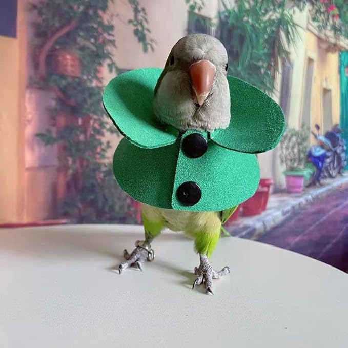 Pet Parrot Anti-bite Elizabethan Collars, Anti-Grab Feather Plucking Wound Healing Safety Recovery Collar Cones for Budgerigar Lovebird Conure Cockatiel Cockatoo Random Color (L)