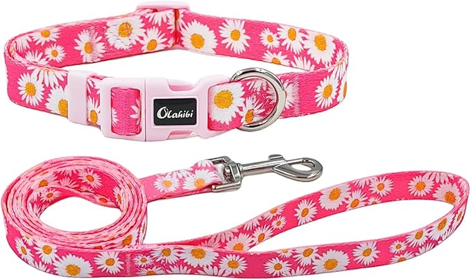 Dog Collar and Leash Set, Cute Pink Daisy Pattern, Polyester Material, 5ft Leash, for Puppy Dogs.(Extra Small, Pink Daisy)