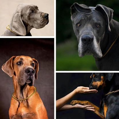 Gold Chain Choke Collar for Large Dogs, Metal Slip Link Heavy Duty Dog Collar Training Choker Dog Collars for Small Medium Large Big XL Breed Dogs, XL