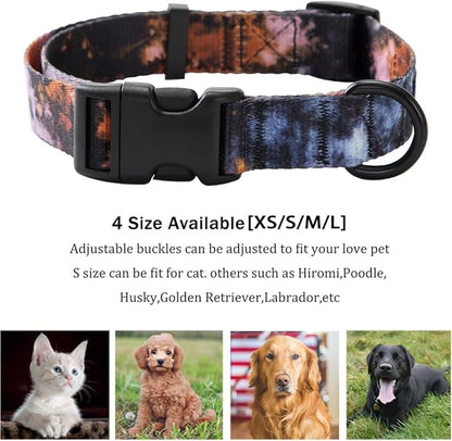 Dog Collar and Leash Set for XSmall Small Medium Large Dogs, Rainbow Stripes, Tie Dye Dog Collar (S(9.9''-11.8''))
