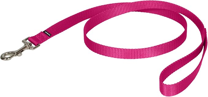 PetSafe Nylon Leash - Strong Nylon for Everyday Walks - Durable Pet Leash with Quick Attach Clip - Comfortable Soft Grip - 4 Feet - Raspberry Pink