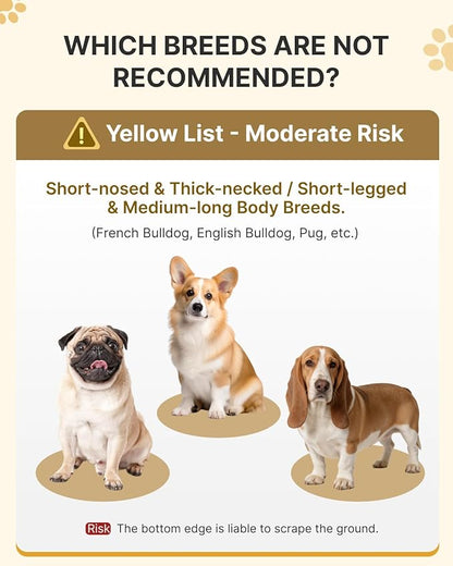 MIDOG Soft Inflatable Dog Cone - Comfortable Alternative After Surgery that Doesn't Block Vision, Patented Donut Recovery Collar Prevents Licking for Large & Medium Dogs (L)