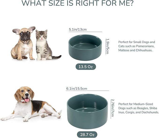 SPUNKYJUNKY 28.7OZ Ceramic Dog and Cat Bowl, Modern Cute Weighted Food Water Bowl for Replacement Light Green (1 Pack)