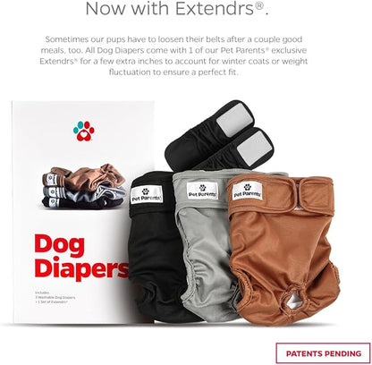 Pet Parents® Washable Dog Diapers (3pack) + Extendrs® of Durable Doggie Diapers, Premium Dog Diapers Female (X-Large, Natural)