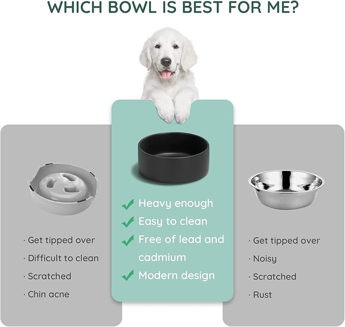 SPUNKYJUNKY 28.7OZ Ceramic Dog and Cat Bowl, Modern Cute Weighted Food Water Bowl for Replacement Black (1 Pack)