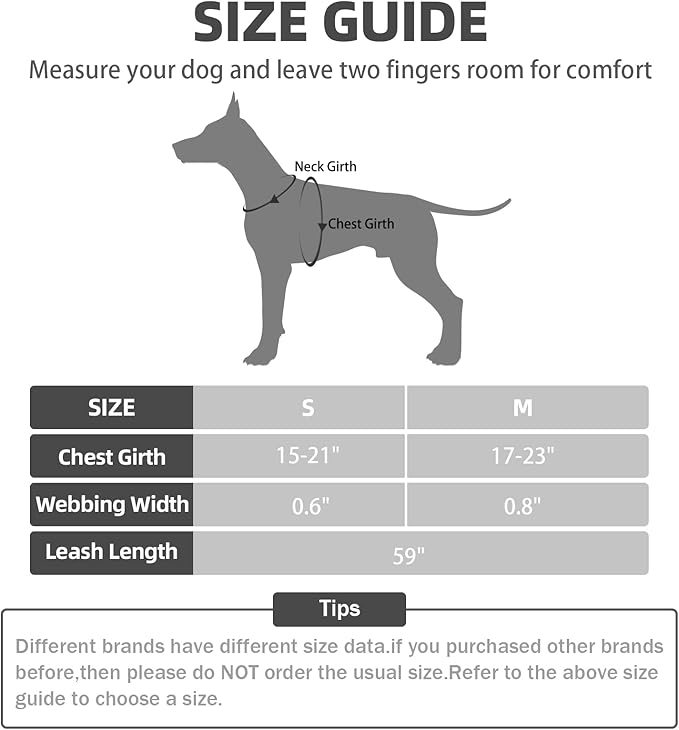 PUPTECK No Pull Dog Harness Soft Adjustable Basic Nylon Step in Puppy Vest Outdoor Walking with Leash
