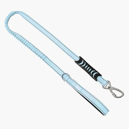 Dog Friendly Co. Bungee Dog Leash | Strain Free & Shock Resistant for Control | Neoprene Padded Handle, Heavy-Duty Carabiner Clip, and D-Ring | Sky Blue, Size Regular