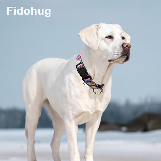 Reflective Martingale Collar for Dogs with Quick Release Buckle No Pull Training Dog Collars (Colorful Geometric, Small)