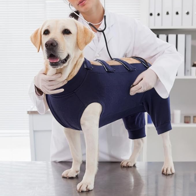 IECOii Dog Recovery Suit - Soft Surgical Onesie for Post-Surgery Dogs, Protects Abdominal and Rear Leg Wounds, Stops Licking, L-Blue