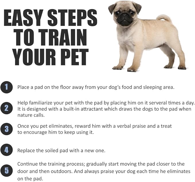 BV Puppy Pads Leak-Proof 50 Count 22"x 22" - Absorbent Pee Pads for Dogs with 6-Layer Design, Rapid Dry Sheet & Built-in Attractant - Dog Pad with Odor Control, Perfect for Puppies & Senior Dogs