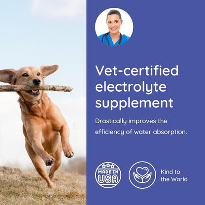 Petralyte Dog Electrolytes and Joint Supplement | Hydration Support for Dogs w/Glucosamine, Chondroitin & More | Electrolytes for Dogs with Prebiotics | for Beef Lovers | 32 Packets