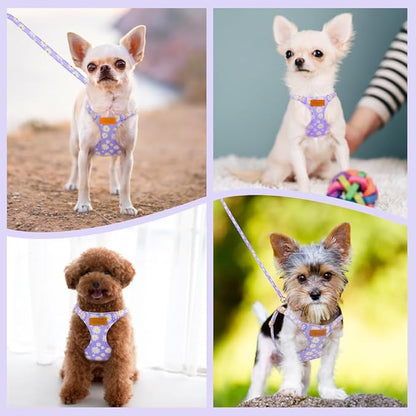SlowTon Dog Harness Small Sized Dog - Soft XXS Dog Harness and Leash Set No Pull No Chock, Adjustable Lightweight Puppy Harness for XS Small Medium Dogs Cats (Purple Dasiy, M)