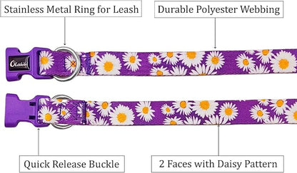 Dog Collar and Leash Set, Cute Daisy Pattern, Polyester Material, 5ft Leash, for Large Dogs.(Large,Purple Daisy)