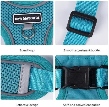 Dog Harness and Leash Set, Adjustable Triangle, Reflective Adjustable Puppy Vest, No Pull Soft Mesh Harness for Small, Medium Dogs, Cats (Turquoise, M)