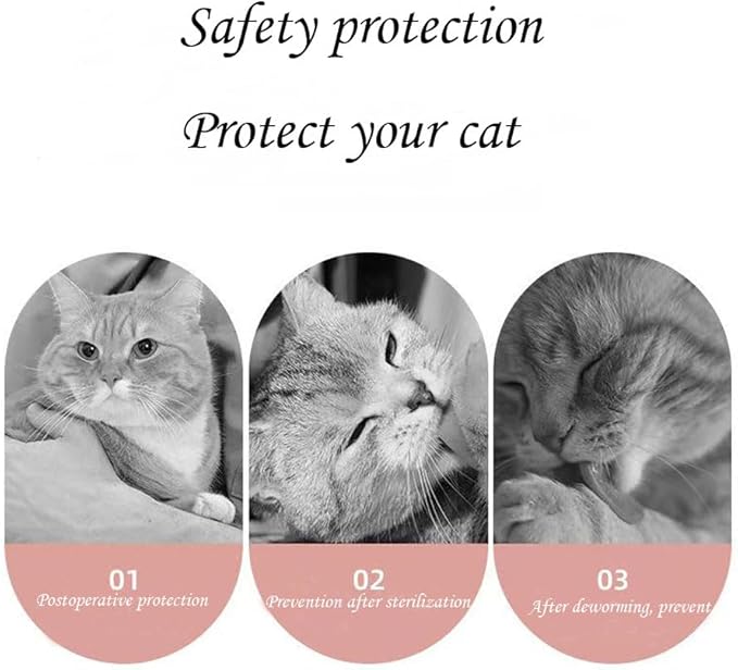 Cat Recovery Suit Female Kitten Onesie for Cats After Surgery Female Spay Surgical Abdominal Wound Skin Diseases Cone Collar Soft Alternative Wear (Alpaca, M)