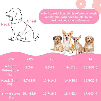Lukovee Puppy Harness and Leash Set, No Pull Lightweight Soft Suede Adjustable Pet Harness Vest with Snap Buckle for Puppy Small and Medium Size Dog (Pink Rose, XXS)