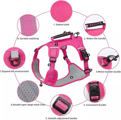 Dog Harness No Pull Adjustable Reflective,for Medium and Large Small Dog with Leash 59.06in (Fuscia, XS)