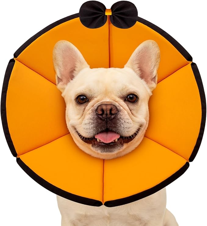 MAXFUT Soft Dog Cone Collar,Foam Cone for Dogs to Stop Licking After Surgery,Non Inflatable Dog Donut Cone (Orange, S)