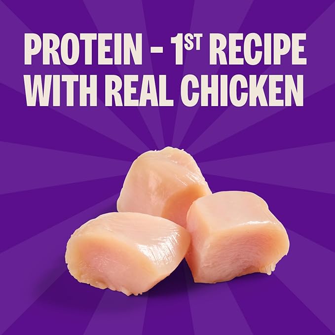 Wellness Rewarding Life Dog Treats, Training Treat, Grain Free, Soft Chicken & Lamb (6 Ounce Bag)