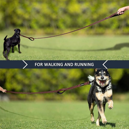 Plutus Pet Double Handle Dog Leash 6ft, Heavy Duty, Reflective Dual Handle Dog Leash for Safety Training, for Medium Large Dogs,2 Handle Leads, Chocolate