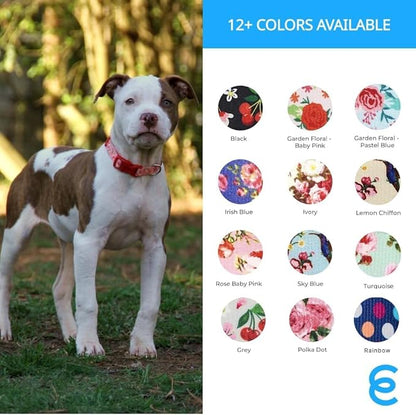 Blueberry Pet Essentials Spring Scent Inspired Garden Floral Adjustable Dog Collar in Baby Pink, Large, Neck 18"-26"