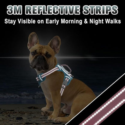 BARKBAY No Pull Dog Harness Large Reflective Dog Harness with Front Clip and Easy Control Handle for Walking Training Running with ID tag Pocket(Baby Blue & Baby Pink,XS)