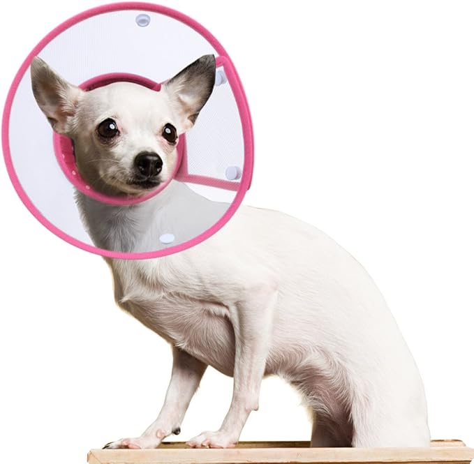Cat Cone Collar, to Stop Licking, Recovery Elizabethan After Surgery, Clear Soft Neck E-Collar, Not Block Vision, for Kitten Puppy Dog Pet in Surgery Remedy - M in Rose