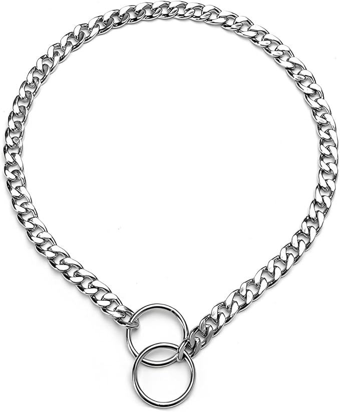 Flat Dog Chain Collar, Metal Slip P-Link Training Heavy Duty Dog Choker Collar Puppy Collars for Small Medium Large Dogs, Silver S