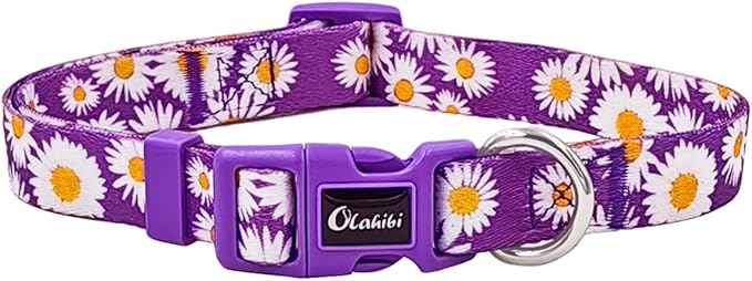 Dog Collar and Leash Set, Cute Daisy Pattern, Polyester Material, 5ft Leash, for Puppy Dogs.(Extra Small,Purple Daisy)