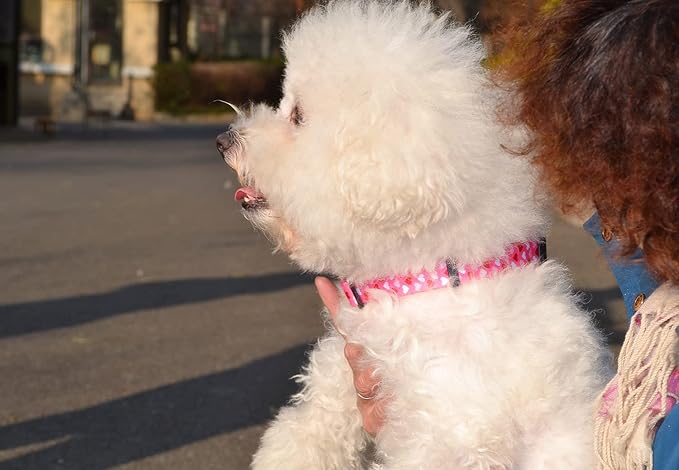 Mihqy Dog Collar - Adjustable Heart Dog Collar - Love Theme - Perfect for Small Medium Large Dogs(Pink Heart,L)