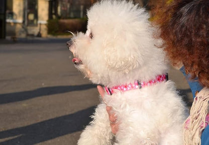 Mihqy Dog Collar - Adjustable Heart Dog Collar - Love Theme - Perfect for Small Medium Large Dogs(Pink Heart,L)