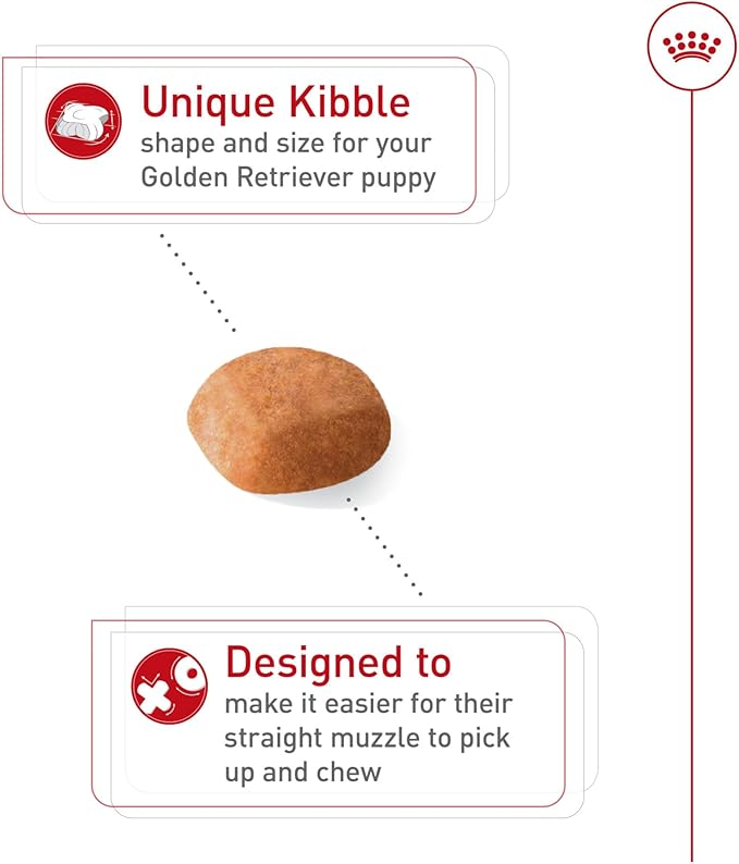 Royal Canin Breed Health Nutrition Golden Retriever Puppy Dry Dog Food, 30 lb Bag
