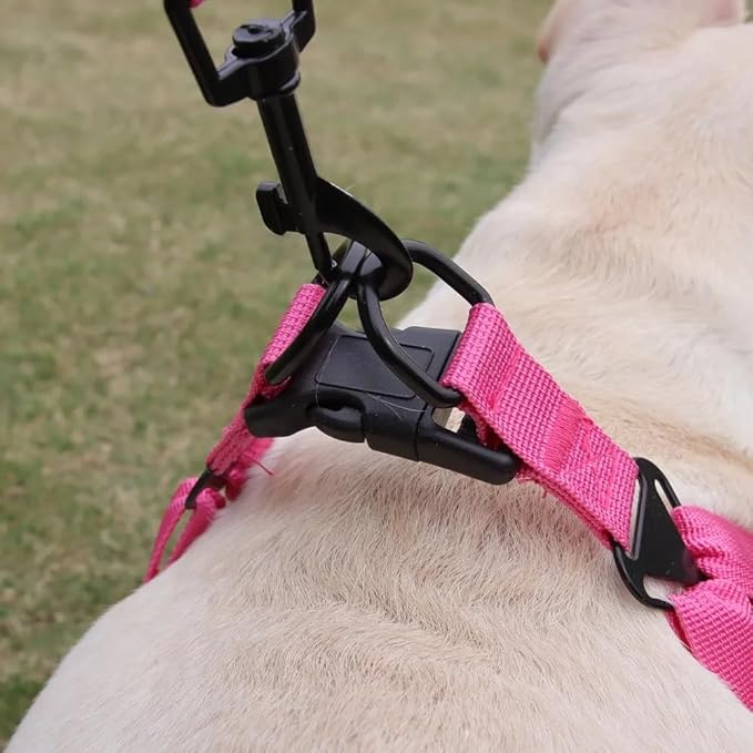 Dog Harness and Leash Set, Adjustable Triangle, Reflective Adjustable Puppy Vest, No Pull Soft Mesh Harness for Small, Medium Dogs, Cats (Fuchsia, M)