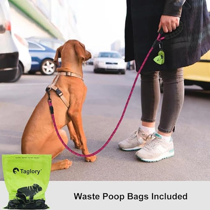 Taglory Rope Dog Leash 5 FT with Comfortable Padded Handle, Highly Reflective Threads Leash and Anti-Tangle Clip for Walking Small Dogs, 3/8 inch, Hotpink