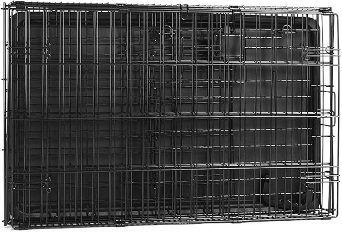 Amazon Basics Portable, Foldable Metal Wire Dog Crate with Removable Tray, Single Door, Divider Panel, Quick Setup, 30 x 19 x 21 in, Black