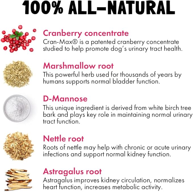 Cranberry UTI Chews for Dogs Bladder Suppot + D-Mannose Supports Kidney Urinary Tract 120 Chews and Probiotics for Dogs Natural Digestive Enzymes Prebiotics for Allergy 120 Chews