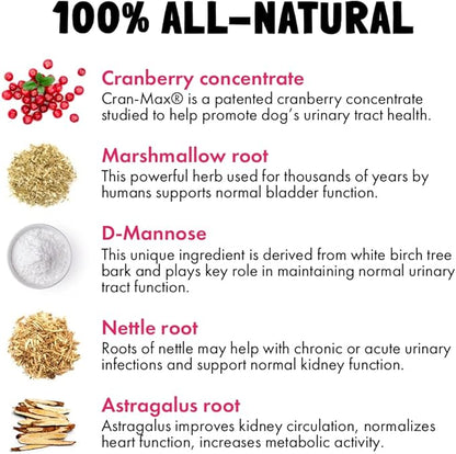 Cranberry UTI Chews for Dogs Bladder Support + D-Mannose Supports Kidney Urinary Tract 30 Chews and Calming Hemp Treats for Dogs Made in USA with Organic Hemp 120 Chews