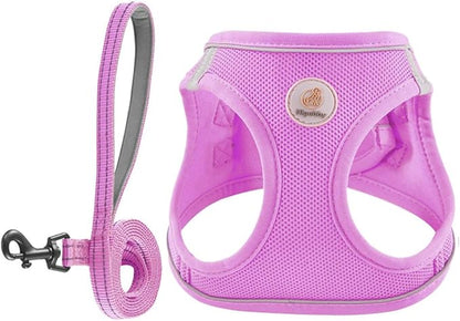Hipubby Dog Harness and Leash Set, No Pull Soft Mesh Puppy Harness for Small Medium Dogs, Cats - Step in Reflective Breathable Lightweight Vest Harness for Walking, Training - Purple, M